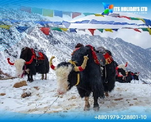 Best of Sikkim & Gangtok Tour Package from Bangladesh -1